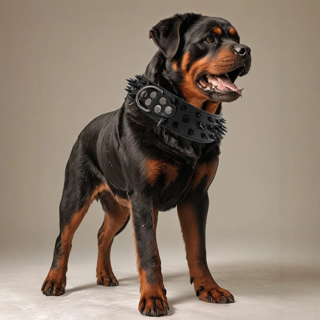 Anti Bite Rivet Sturdy Leather Pet Collar,  Adjustable for Medium and Big Dogs