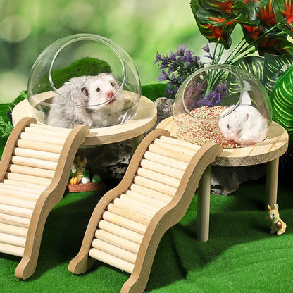 Hamster Bath House with Wooden Ladder Bridge. Easy to Clean. 
Climbing Toy Hamster Bathroom. Glass Shower Container for Safe Bathing