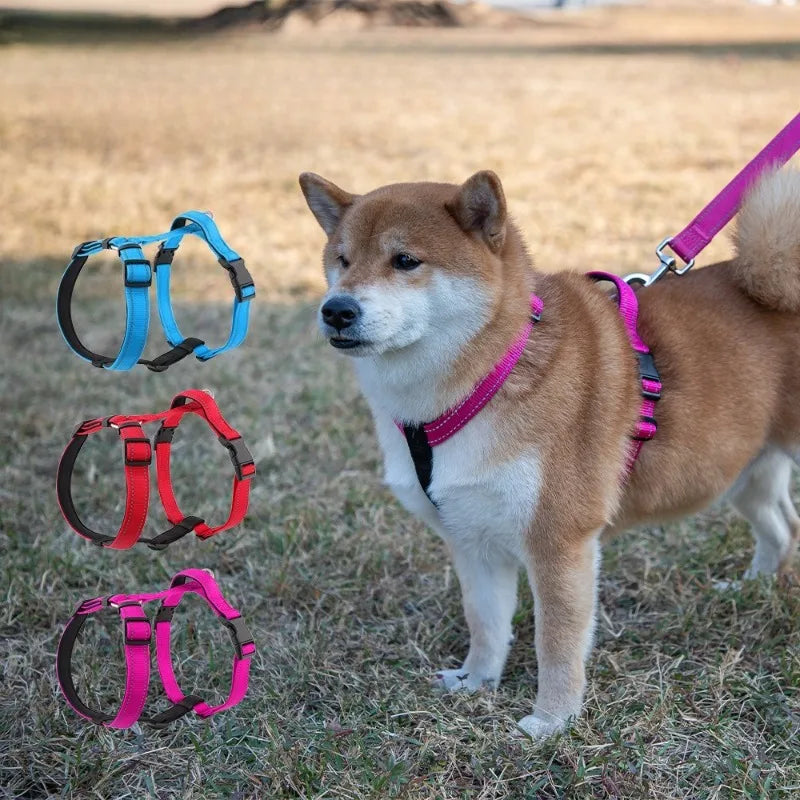 Dog Vest Type Harness for Small, Medium and Large Dogs! - JanesWaggingWonders