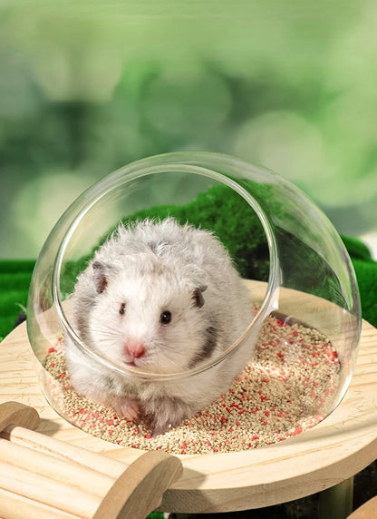 Hamster Bath House with Wooden Ladder Bridge. Easy to Clean. 
Climbing Toy Hamster Bathroom. Glass Shower Container for Safe Bathing