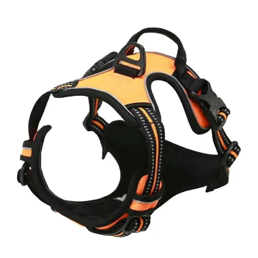 Big Dog Vest Harnesses