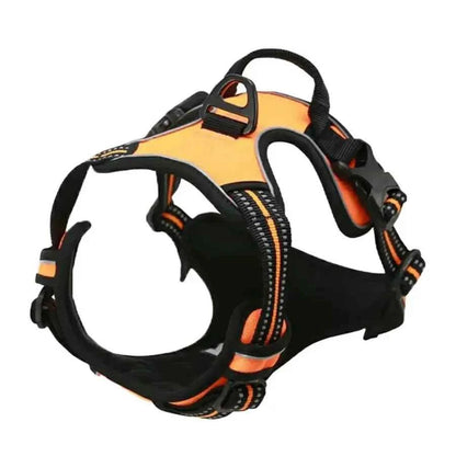 Big Dog Vest Harnesses