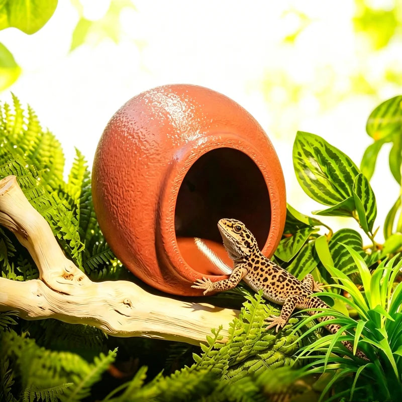 Reptile Hideouts Egg Cave with Suction Cups for Gecko Tree Frog Tarantula Spiders. Climbing Habitat Terrarium Décor.