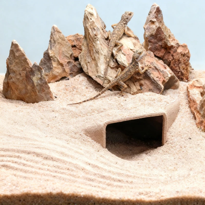 3D Printed Reptile Cave Hideout - Terrarium Decor - JanesWaggingWonders