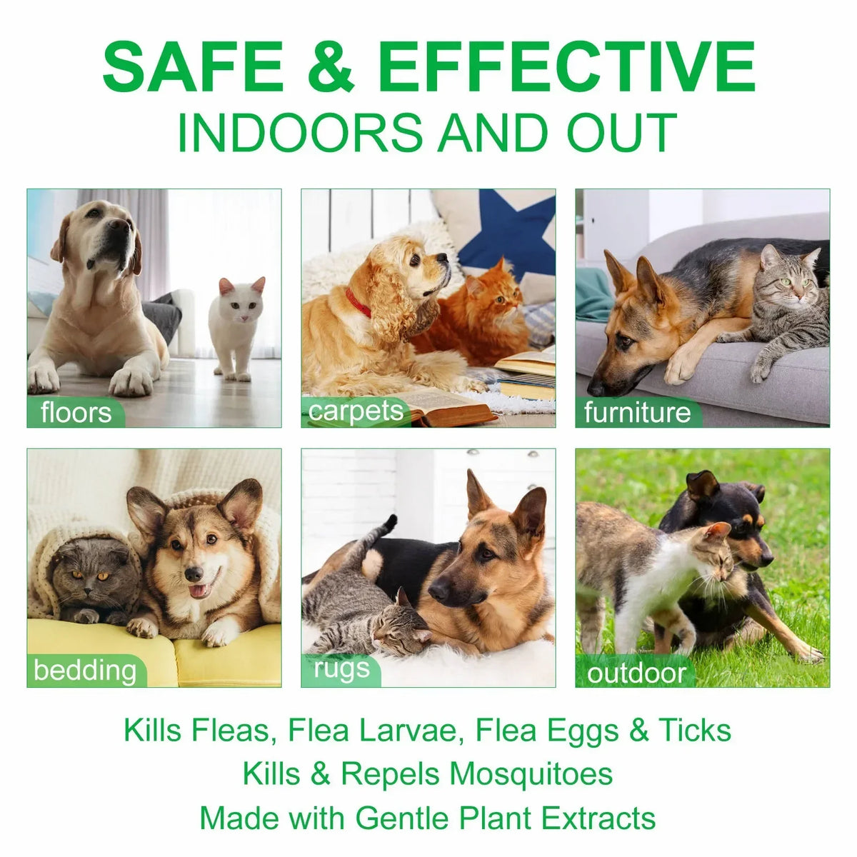 100ml Natural Pet Care Topical Flea & Tick Spray for Dogs & Cats with Fresh Fragrance Peppermint Oil and Eugenol