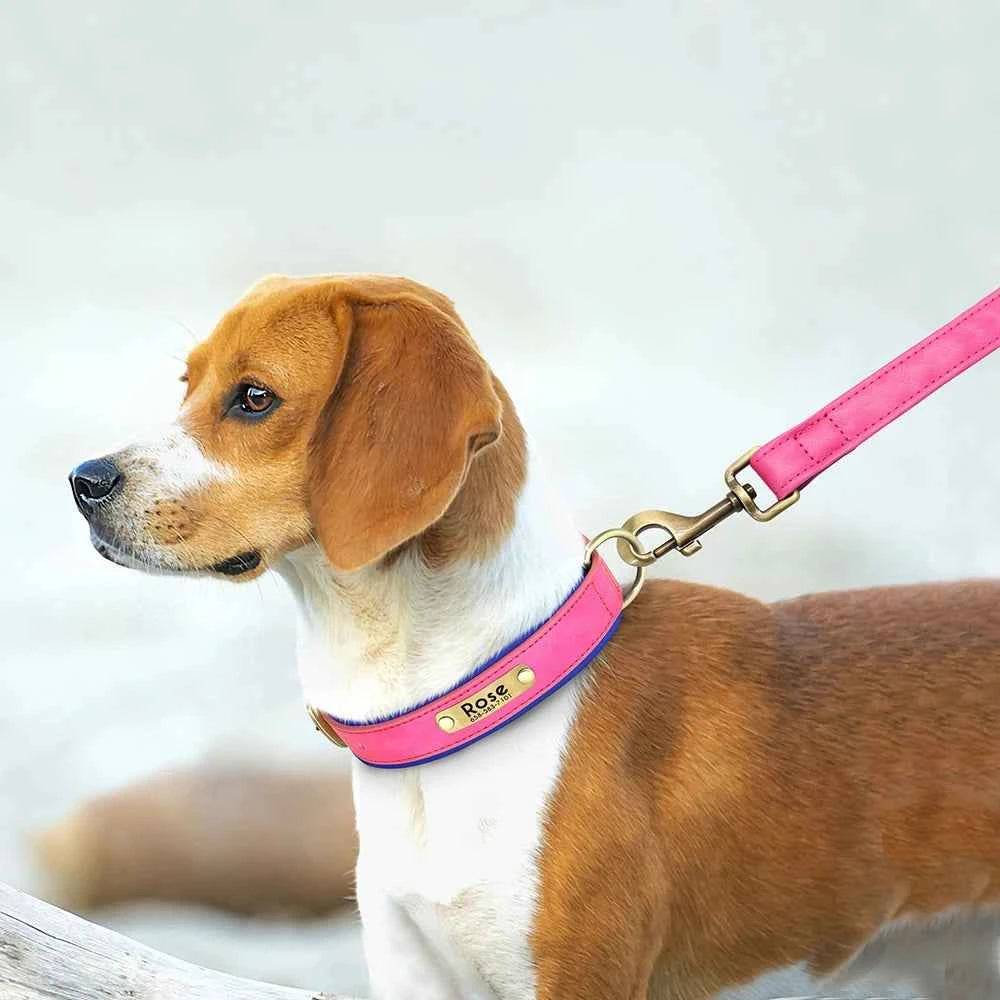 Customized Leather Dog Collar & Leash Set; Soft Padded Leather Collar  With Free Engraved Nameplate for Small Medium Large Dogs